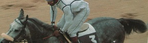 race