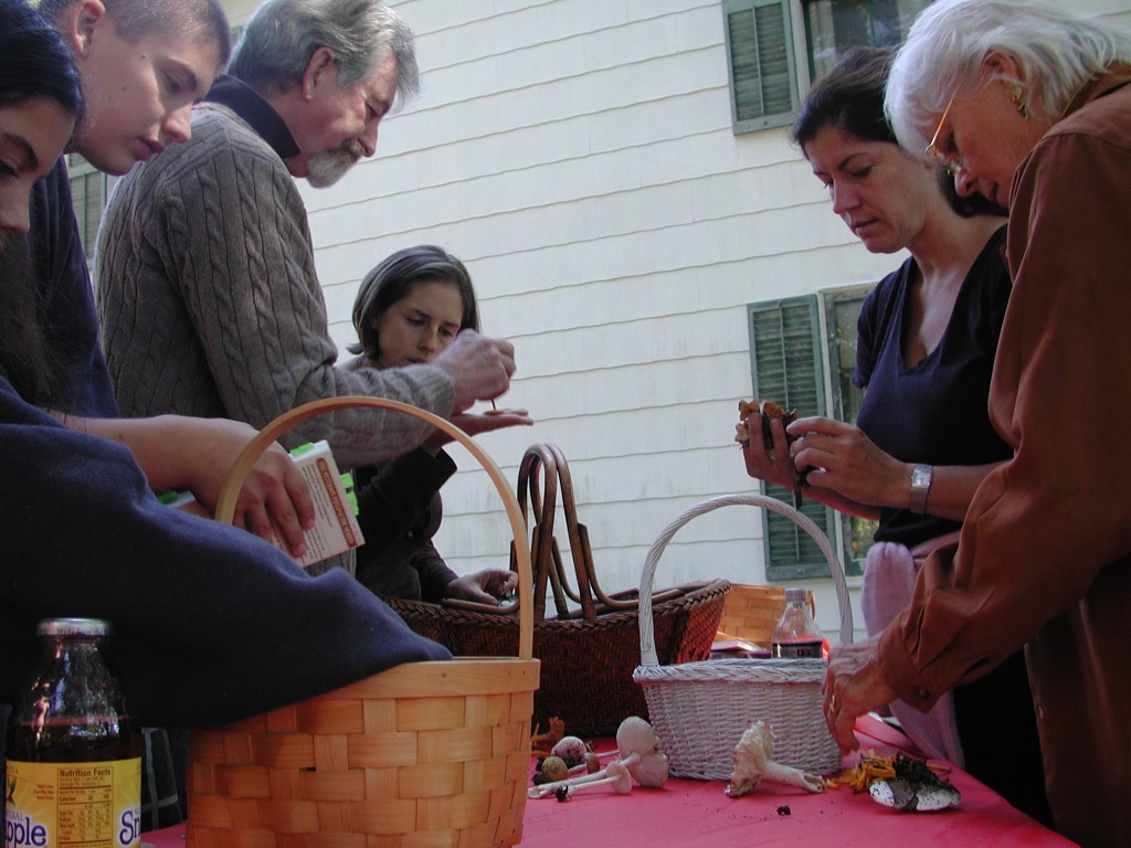 Bill Yule, CVMS member, identifies mushrooms  and shared interesting details at a recent Connecticut Valley Mycological Society potluck and foray gathering. Meg Driscoll of Waterford, along with her son, Max, and daughter, Nina, attended as guests.
