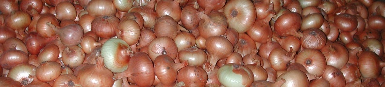 fresh-from-the-farm